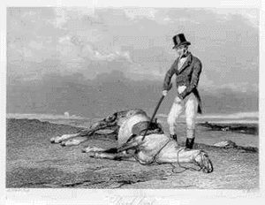 Flagellating a deceased equine.